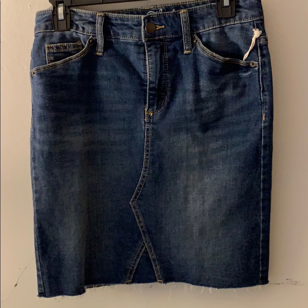 Jean skirt